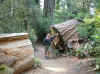 09.27F.Redwoods Park.Ed between a tree.jpg (212107 bytes)