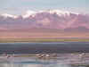 0330.Salar de Tara Flamingos and Snow Caps.jpg (54465 bytes)