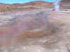 0331.Pumitana Geyser Field.jpg (66188 bytes)