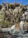 02.20.2006.Hacienda.On Trail.jpg (123768 bytes)