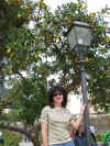 04.25.2006.Lindy under Lemon Tree.jpg (211379 bytes)