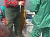 SLLedtaping41.jpg (101094 bytes)