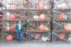 0814.Ed and crab pots.jpg (134018 bytes)