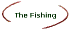 The Fishing