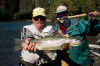 Web 0910_PTA_Mitchell_Ed_26 inch,8-10lb.jpg (104459 bytes)